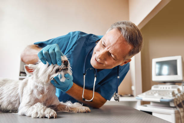 Best Pediatric Emergency Dentist in Auburn, KY